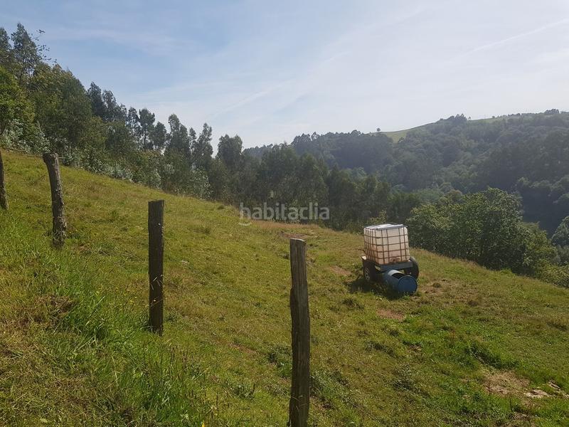 Foto e643d652-bf9f-43fc-85ab-3f616fea360b. Terreno residenziale in Cenero Gijón