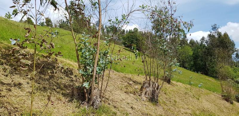 Foto ecf30be0-20e0-4f07-9dae-2c6bcba50ac8. Wohngrundstück in Cenero Gijón