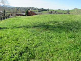 Residential Plot in Parroquias Norte