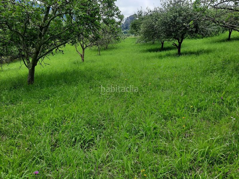 Foto f740ab71-8e74-414f-bf10-98d01f455c24. Finca rústica a Fano Gijón