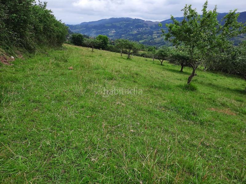 Foto 813c2155-f505-4966-9149-ce849b0b5fc1. Finca rústica en Fano Gijón