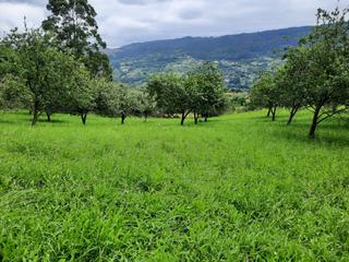 Terreno residencial  N/a