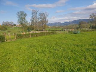 Terreny residencial  Aldea robleu