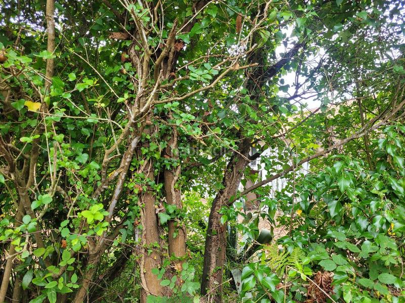 Foto 18b86052-aabc-4edf-af13-55433d881363. Casa amb piscina a Quintes - Arroes Villaviciosa