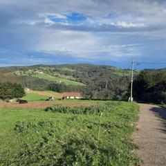 Wohngrundstück in Cudillero