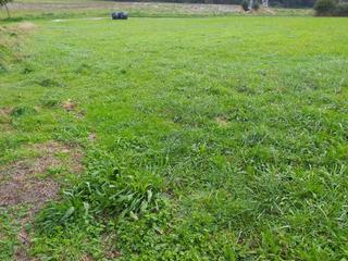 Residential Plot in Carreño