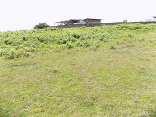 Residential Plot in Porceyo