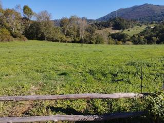 Terreny residencial a Nava