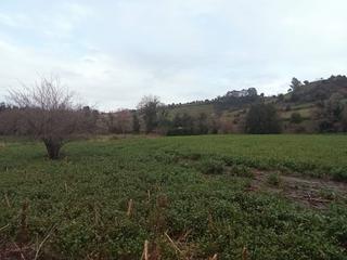 Terreno residencial en Santurio