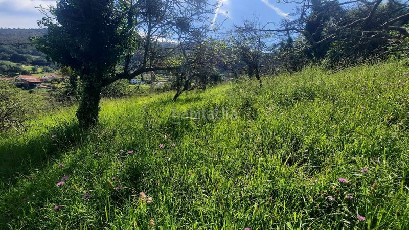 Foto 1a5960a9-9d26-4b02-bbf8-ca81d9f10f8e. Terreny residencial a Caldones Gijón