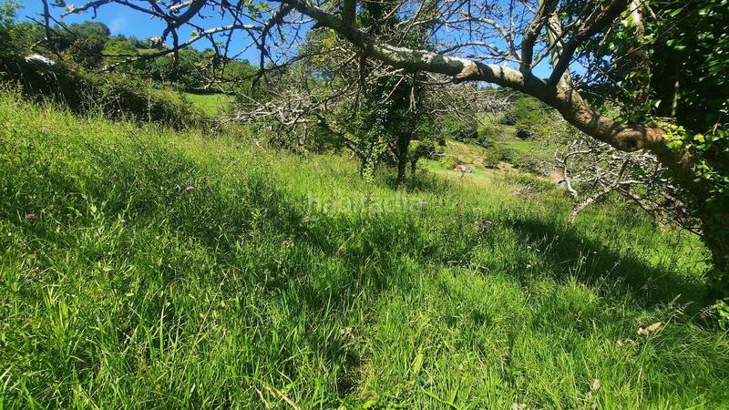 Foto 6b2eb01d-8aa7-4f79-866d-7004a331b4ba. Terreny residencial a Caldones Gijón