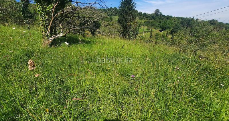 Foto 94b034ec-8ea8-44a0-bd0b-9721afa773fa. Terreny residencial a Caldones Gijón