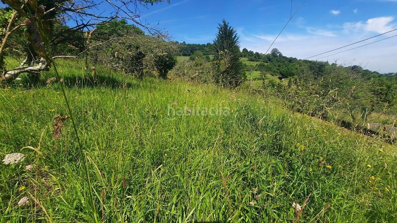 Foto ed7a0ecd-c2db-41f4-af15-7e827402e3d0. Terreny residencial a Caldones Gijón