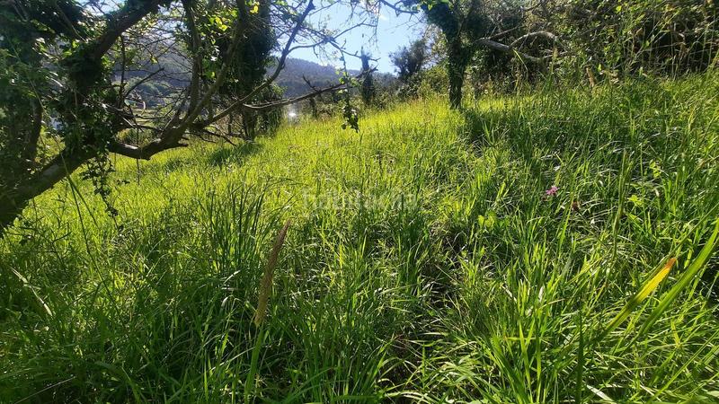 Foto 5533cb06-41fb-434b-84e8-fcc21982b4b5. Terreno residenziale in Caldones Gijón