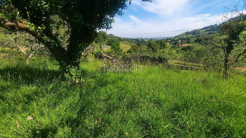 Foto e8587cb8-0591-4dd2-bac6-59d15806ddf6. Terreno residenziale in Caldones Gijón