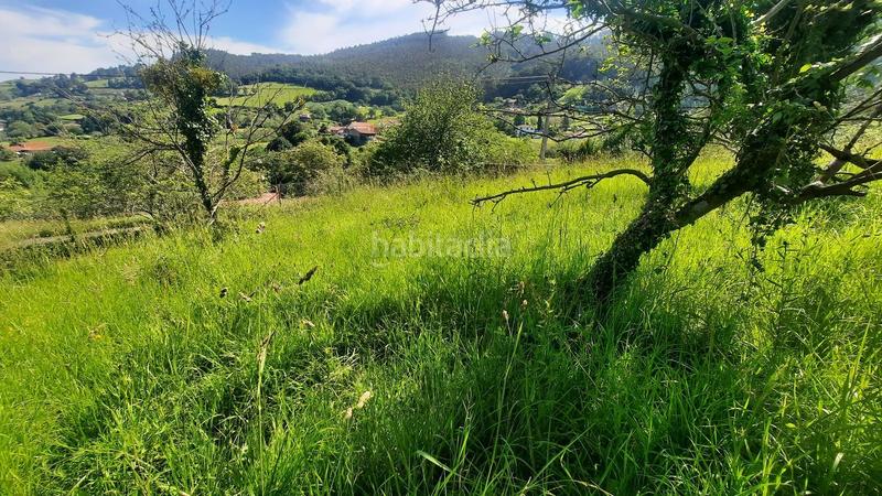 Foto ee78d000-e424-46f4-ae41-20fbecc29e9e. Terreno residenziale in Caldones Gijón