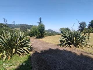Terreny residencial a Parroquias Norte. Preciosa y cuidada finca no urbanizable en la collada !!! con vi
