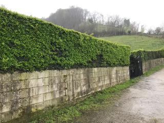 Rural plot  Caserio llanaces