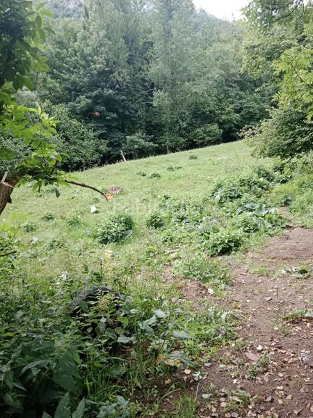 Foto f5d9be07-0653-4fad-a8cd-3a005c4af7d0. Terreno residencial finca en pola en Somiedo