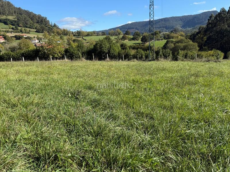 Foto 1ec9d7e0-9f76-4c92-bb7a-f4c91bf57d35. Residential plot in la pola Siero Siero