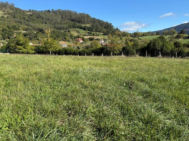 Foto 3b8d2d4b-ca49-4411-b38d-7b0131bc3d68. Residential plot in la pola Siero Siero