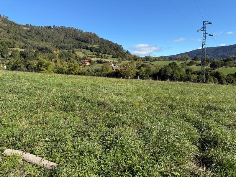 Foto fdc96b2e-53bc-4576-a3b5-9e0b0e5ba285. Residential plot in la pola Siero Siero