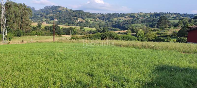 Foto 6d698578-114b-4abd-92ce-955ae1fa899d. Wohngrundstück in la pola Siero Siero