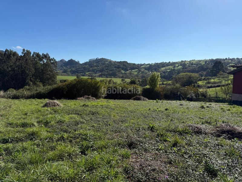 Foto bf031260-ba70-41e8-baa6-2c58a1763726. Wohngrundstück in la pola Siero Siero