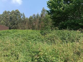 Residential Plot in Corvera de Asturias