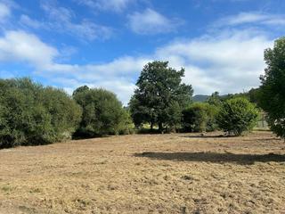 Residential Plot in Piloña