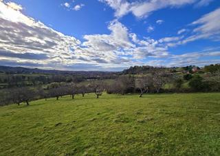 Residential Plot in Vega