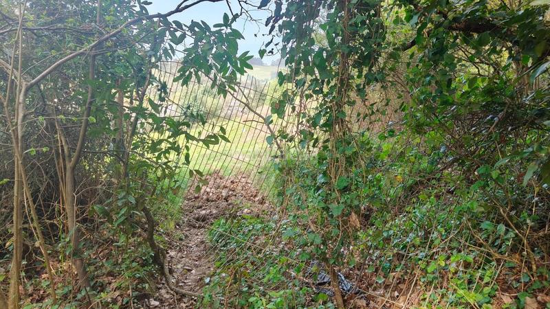 Foto 4cdc1a15-96c4-44a5-8f50-811dd9505e56. Terreny residencial a Cenero Gijón