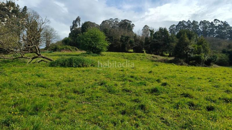 Foto 7cba74ed-34d5-4130-a9c9-479d32015a9b. Terreny residencial a Cenero Gijón