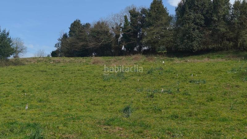 Foto 7fe85be9-e9da-48a4-97d4-29e51315535b. Terreny residencial a Cenero Gijón