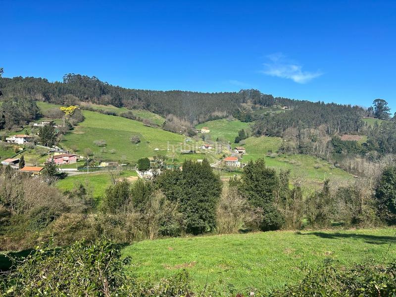 Foto cace7fa0-8bb0-4139-8b40-81c9457f7f16. Terreny residencial a Cenero Gijón