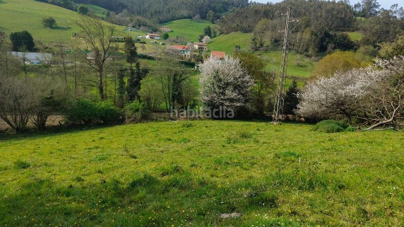 Foto d89428e0-a463-4621-bf08-109c8c09bbc8. Terreny residencial a Cenero Gijón
