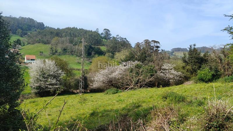 Foto d9cb051d-0a03-45af-9785-7bf716a28f7f. Terreny residencial a Cenero Gijón