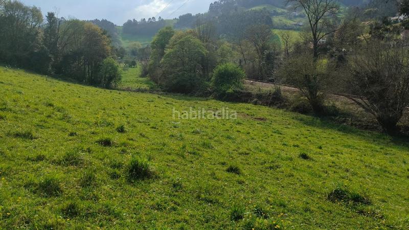 Foto dfd7af5a-fb53-45d4-91c4-f5c5c326436b. Terreny residencial a Cenero Gijón