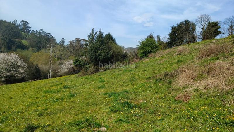 Foto e04d6cce-3206-4cbd-b04c-64c632337df0. Terreny residencial a Cenero Gijón