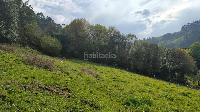 Foto e7e7d472-f71c-4714-b44d-3ff5c8c42423. Terreny residencial a Cenero Gijón