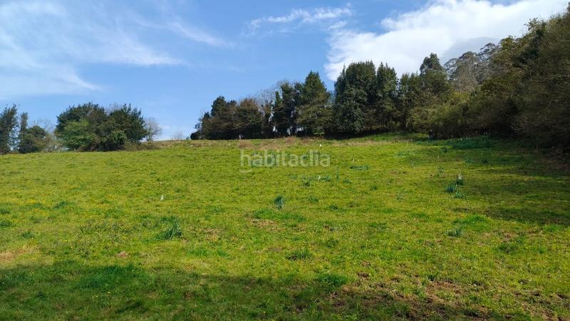 Foto eba6bc8e-9471-4b82-9a2f-3cf7ffbd3da9. Terreny residencial a Cenero Gijón