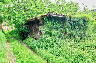 House  N/a