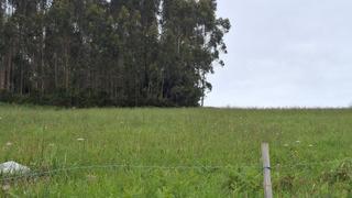 Residential Plot  N/a