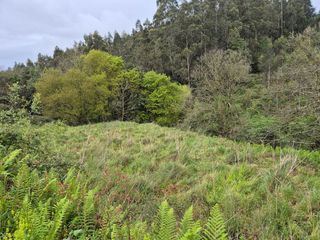 Residential Plot in Carreño