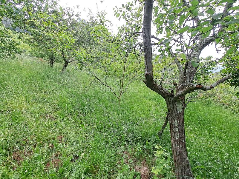 Foto 556febe2-2f10-48e9-89a3-448e33b5217b. Maison avec parking piscine dans Parroquias suroccidentales Villaviciosa