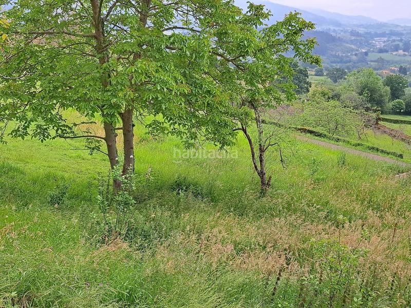 Foto 97354199-3c75-4e03-8835-7d8450b8a40b. Maison avec parking piscine dans Parroquias suroccidentales Villaviciosa