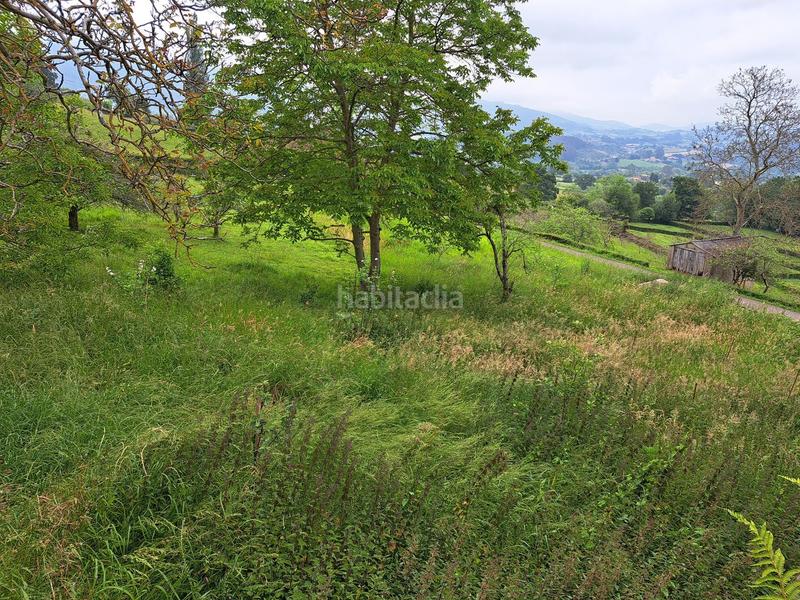 Foto a678dc49-7b7f-415b-a8a1-fecb0270d80d. Maison avec parking piscine dans Parroquias suroccidentales Villaviciosa