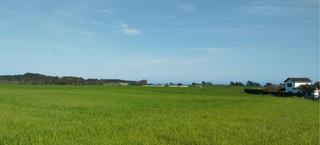Residential Plot in Valdés