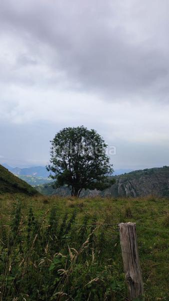 Foto a2f74cb9-e5be-440b-ac3a-47a00a389930. Maison avec piscine dans Parres
