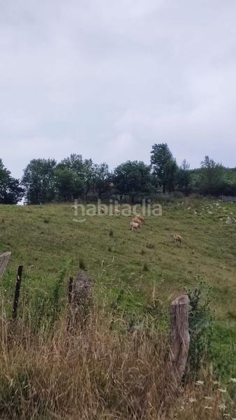 Foto b50d3420-5d0b-48b9-a18d-4533647acde0. Maison avec piscine dans Parres